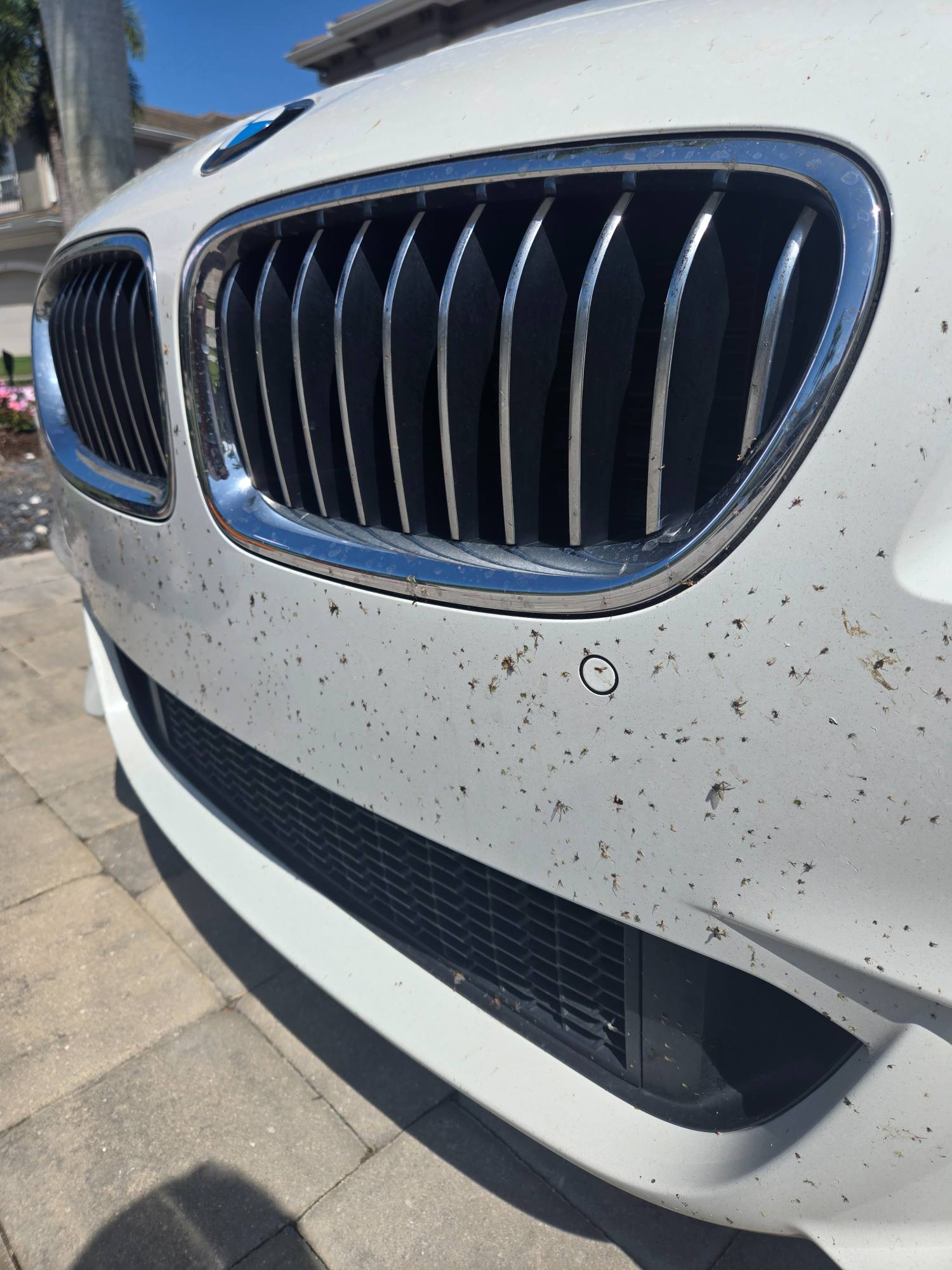 Montgomery Detailing Llc (24)